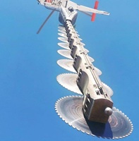 Helicoptor cutter